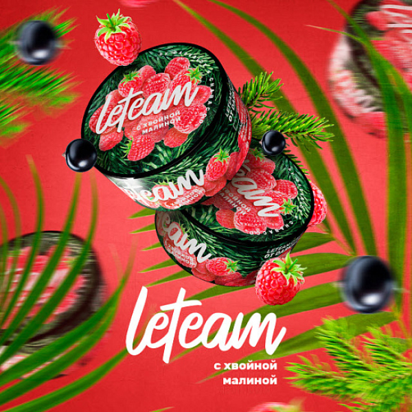 Смесь Leteam С Хвойной Малиной 25 гр в Уфе
