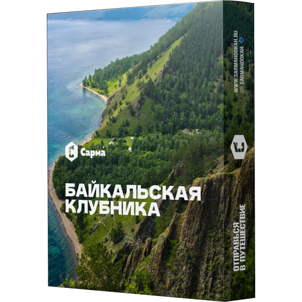 Табак Сарма Байкальская Клубника 25 гр в Уфе
