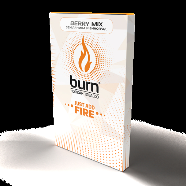 Табак Burn Berry Mix  100 грамм в Уфе